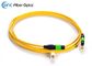 Tipos de cabo de fibra ótica fêmea da fita da fibra MPO da manutenção programada OM3 12 à fêmea de MPO
