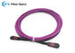 tipo fêmea violeta fio do cabo de fibra ótica LSZH OM4 50/125 MTP de 8M Digitas do tronco da elite de B
