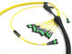 Conjuntos de cabo de fibra ótica da manutenção programada OM3 OM4 MPO personalizados para a expedição de cabogramas de 40G 100G
